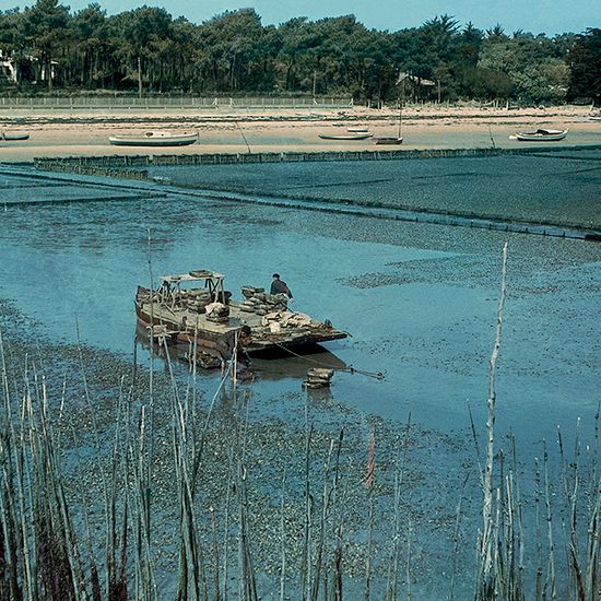 AgfaColor de Fernand Baldet