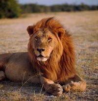 Image faisant partie d'une gallerie