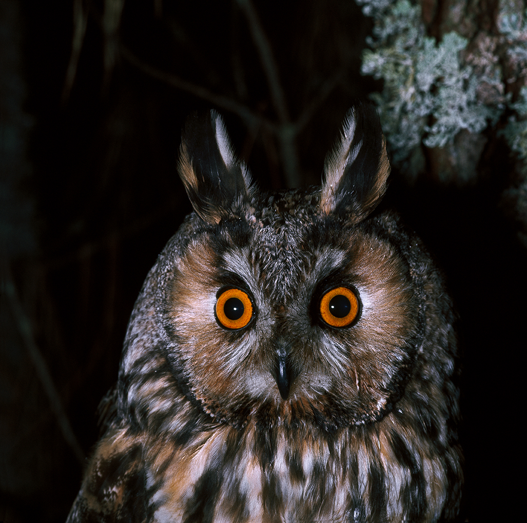 Image faisant partie d'une gallerie